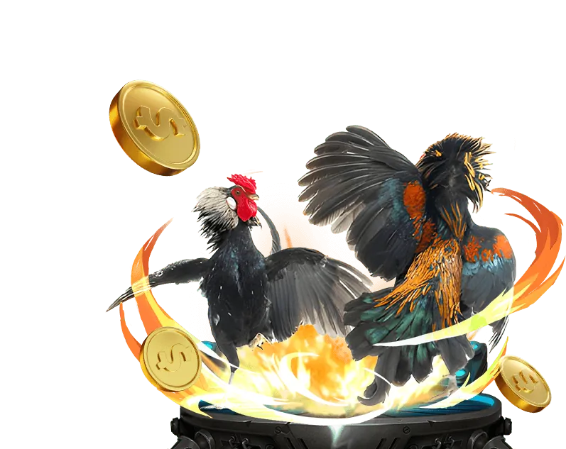 Quy tắc cá cược và trò chơi kèo nhà cái 888